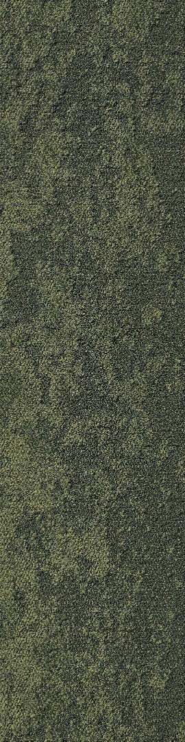 Ковровая плитка Shaw OFF THE GRID Seek Tile 5T216-15326