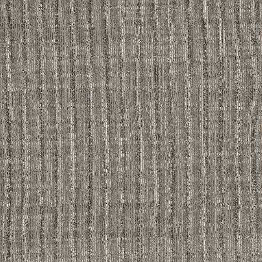 Ковровая плитка Shaw BRUSH WORKS Delicate Tile 5T154-53532