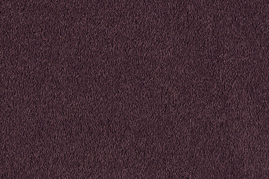 Ковровое покрытие Karastan Object of Desire Violet Sachet