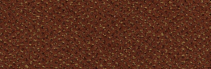 Ковровое покрытие Condor Carpets Argus New 220