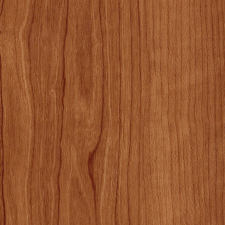 Дизайн плитка Amtico Access Wood SX5W2506