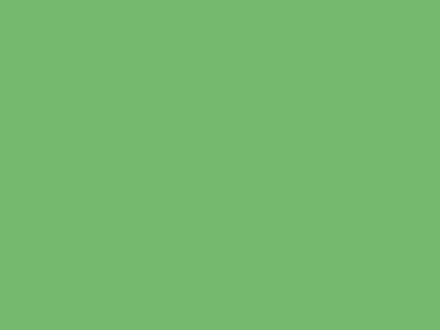 Краска Oikos Фасадная линия ELASTRONG GUM Elast-gum-CP4370